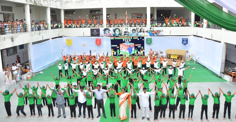 Colourful Flowers of TCCS